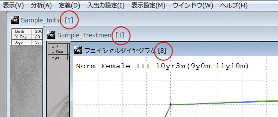 プリント時のページ番号