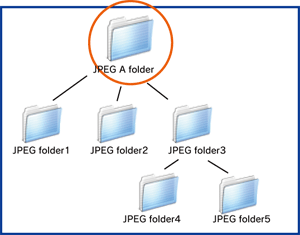 About reference folder